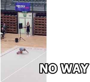 Rhythmic Gymnastics By Alice Taglietti....