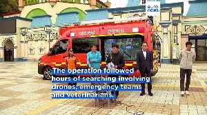 Escaped wolf “Neukgu” captured after 9-day search in South Korea