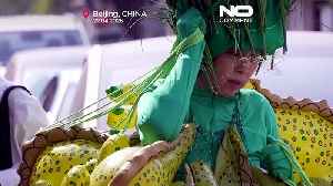 Beijing artist marks World Earth Day with peace installation