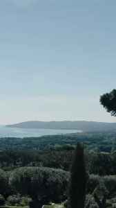 The White Lotus Heads to the French Riviera