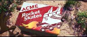 Coyote Vs. Acme Movie