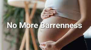 No More Barrenness