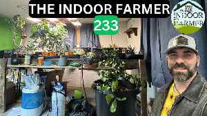 The Indoor Farmer ep 233, New Life & Fresh Perspective In The Garden. Let's Grow Everybody Has 2 Eat