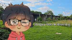 Shota who likes racoon girls