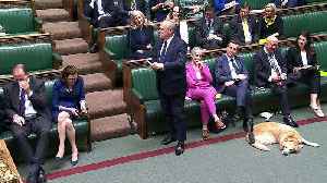 Lib Dems: PM motion is not a stunt