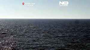 Humpback whale stranded in Germany released into North Sea