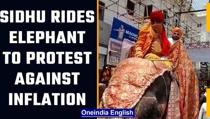 Navjot Singh Sidhu rides an elephant in order to protest over inflation in Patiala | OneIndia News