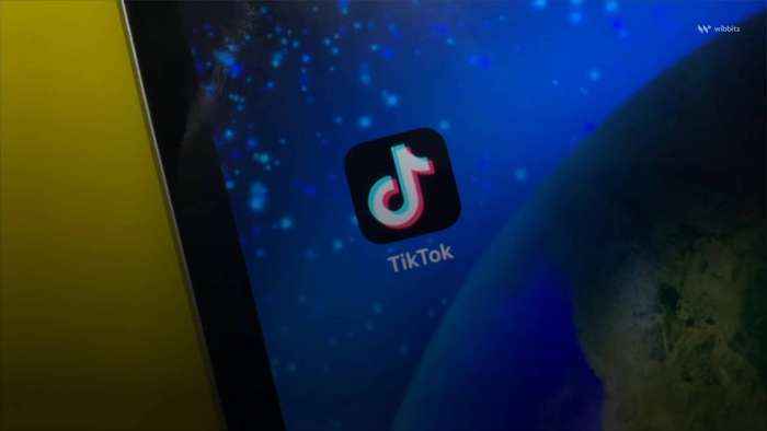 US House Panel to Vote on Possible TikTok Ban