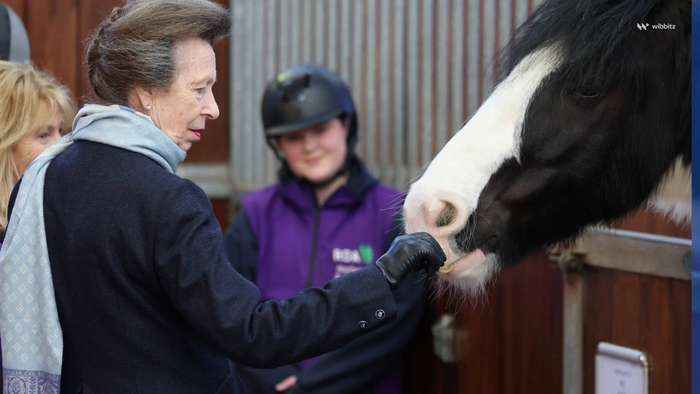 Princess Anne Hospitalized After Incident at Her Gloucestershire Estate