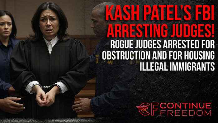 FBI ARRESTING JUDGES! Judges Protecting Illegal Immigrants Receive Justice | Hannah Dugan