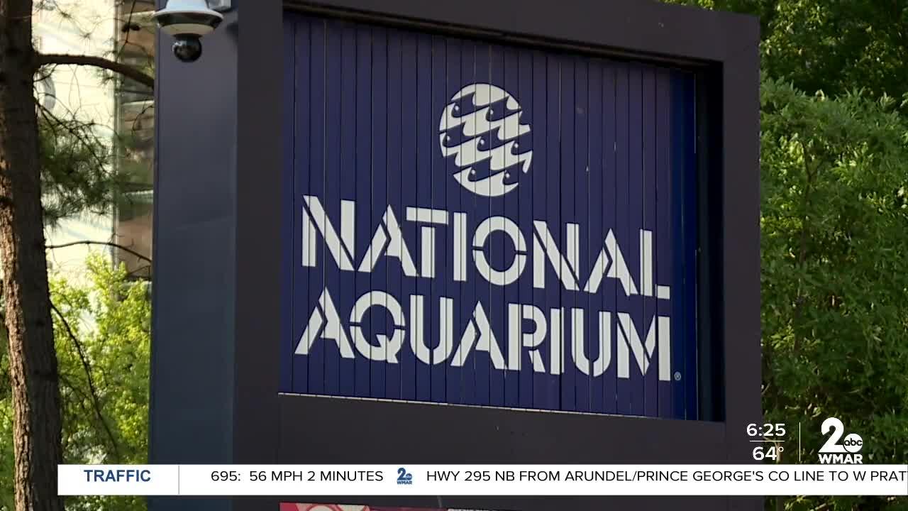 In Focus: As National Aquarium turns 40, a look back at its conservation journey