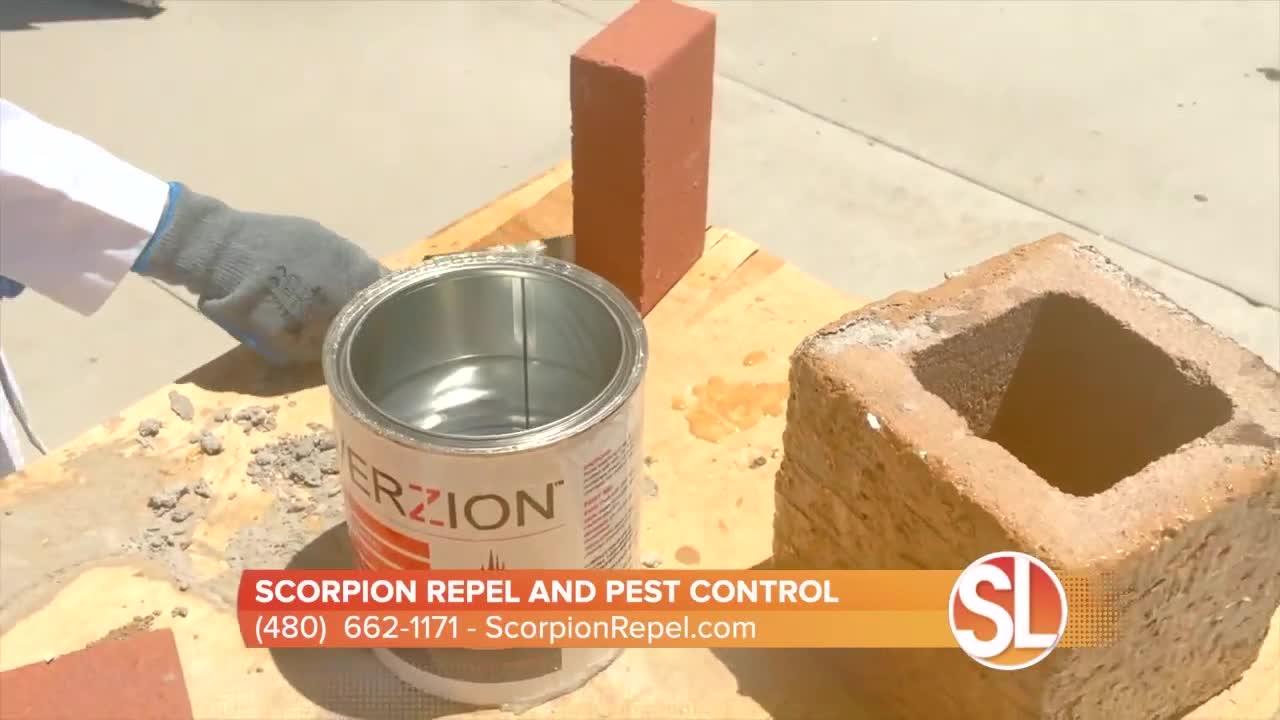 Keep scorpions OUT of your home with Scorpion Repel's Averzion