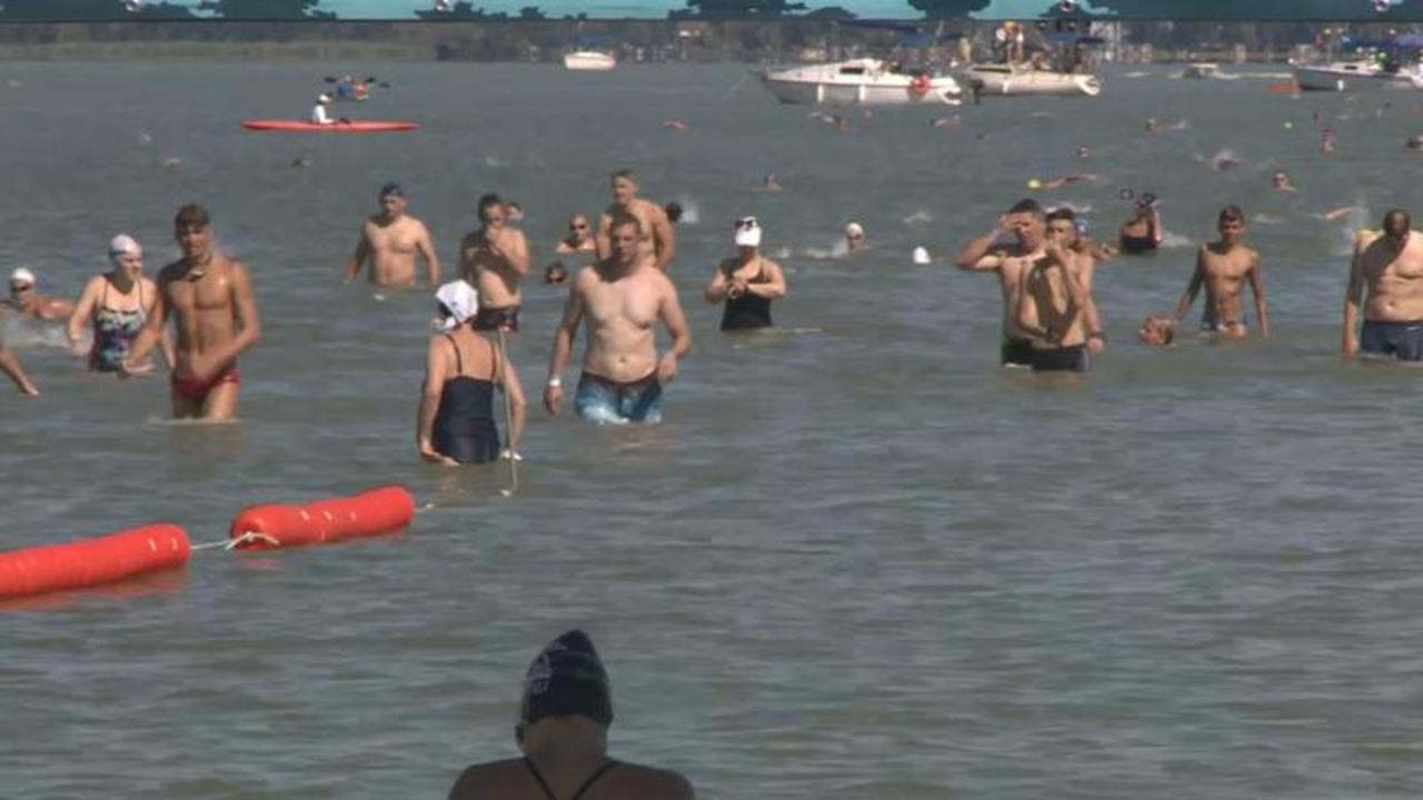 Hungary: Thousands swim across largest lake in central Europe
