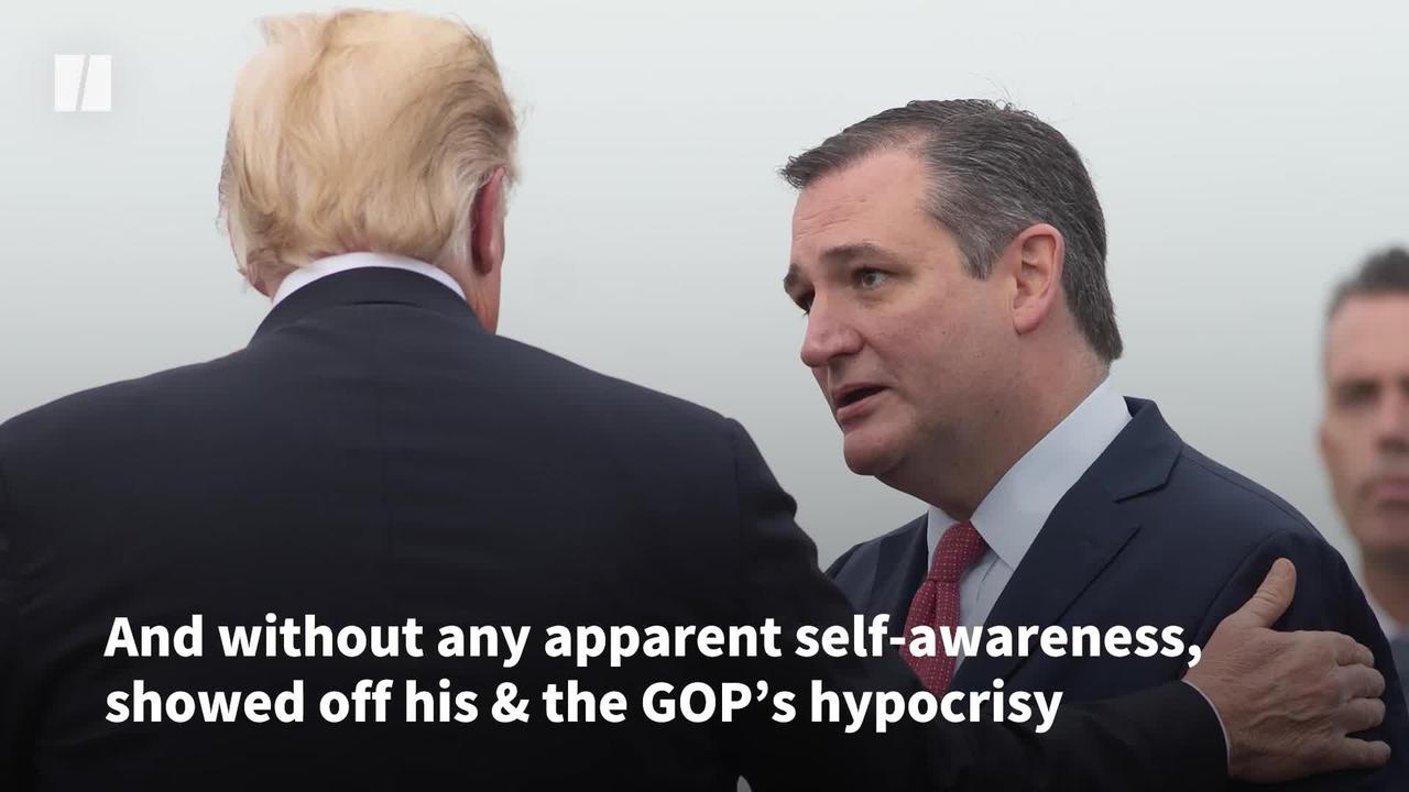 Ted Cruz’s Hilarious Self-Own