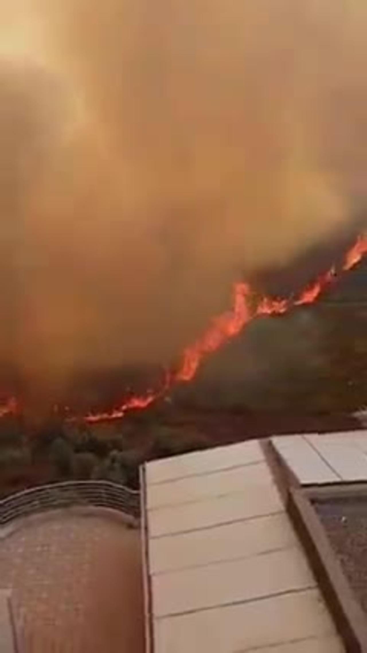 Algeria wildfires threaten residential areas