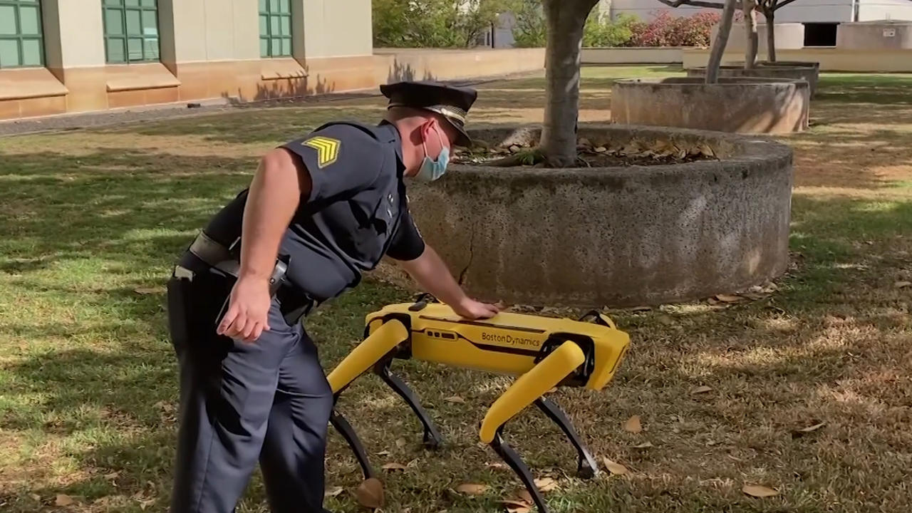 Robot dogs join the police force in Honolulu