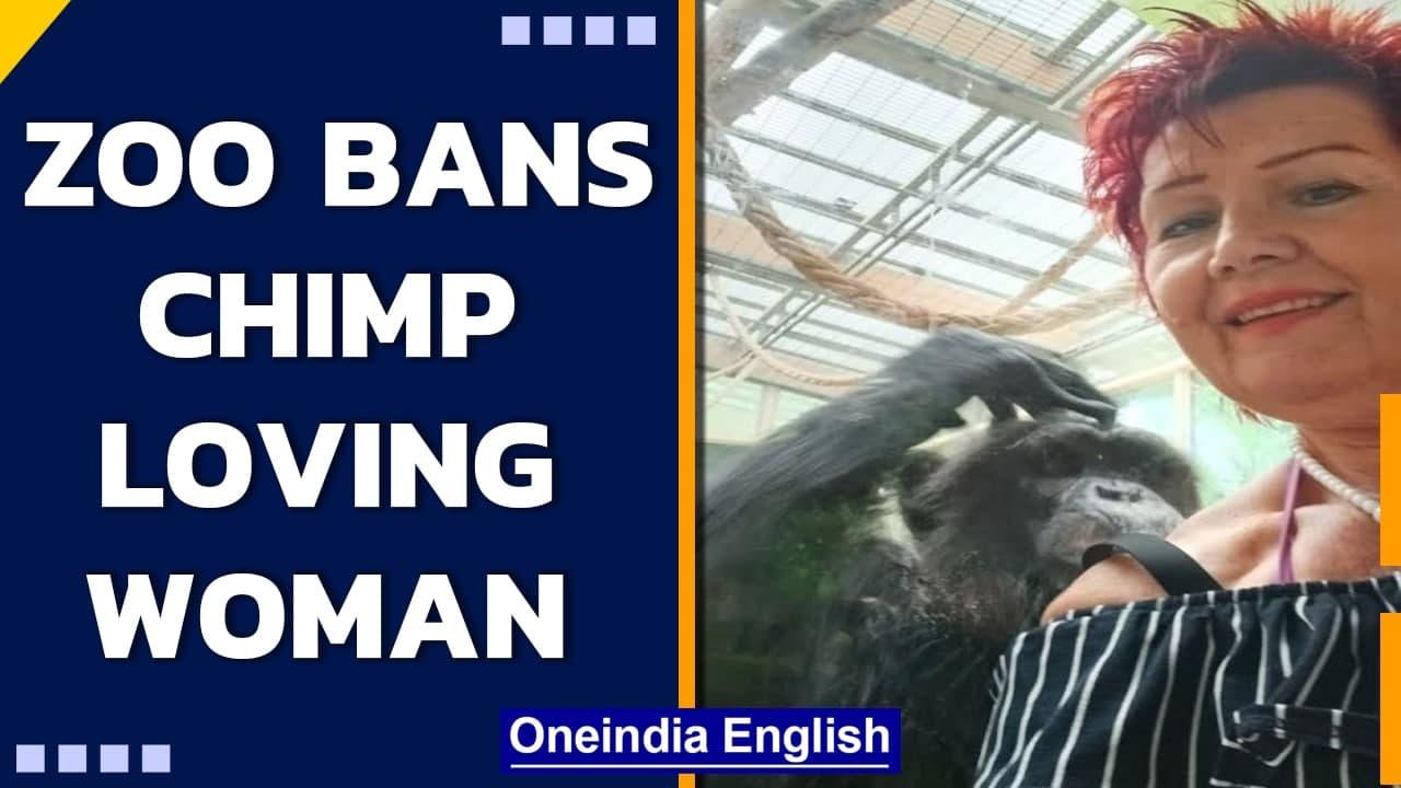 Belgium zoo bans woman for having affair with chimp| Oneindia News