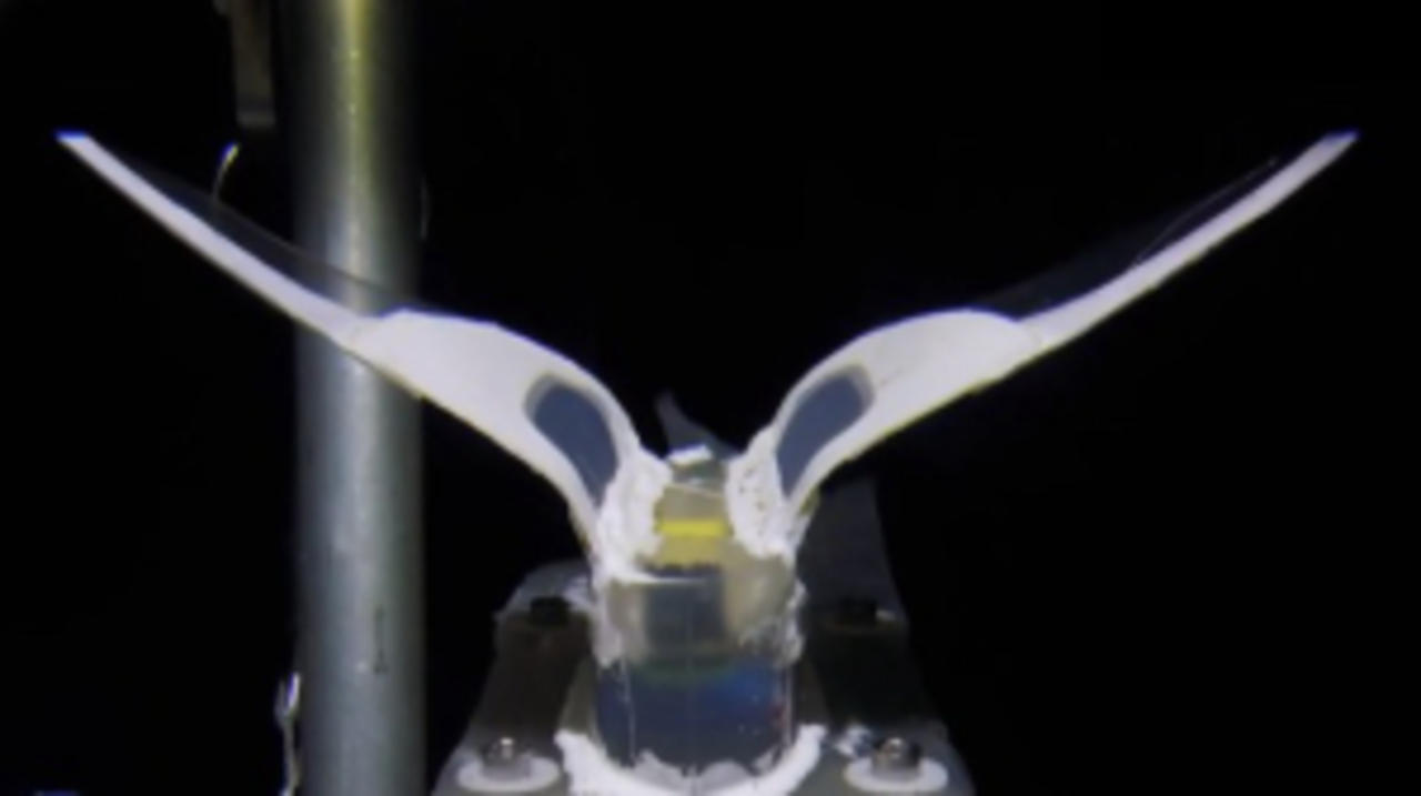 Unlock Deep Sea Mysteries With This New Self-Powered Fish-Like Robot!