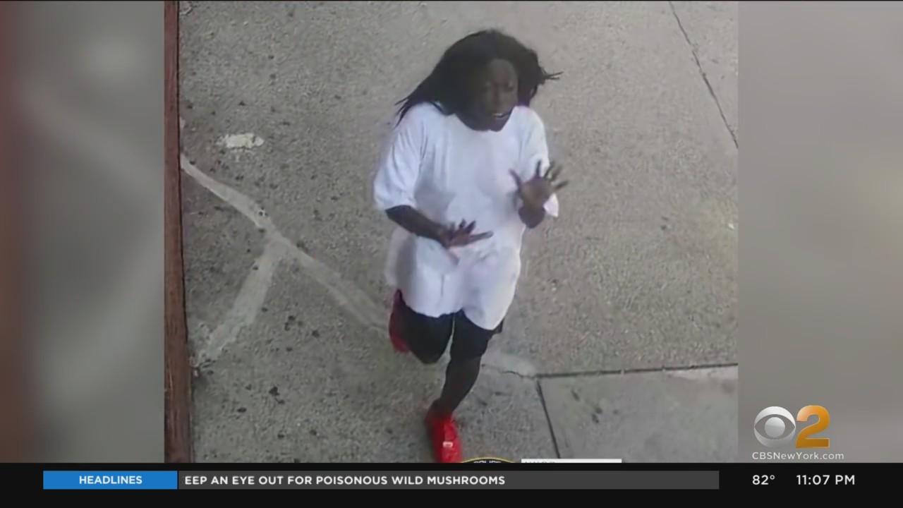 Suspect Accused Of Pushing 2-Year-Old In The Bronx