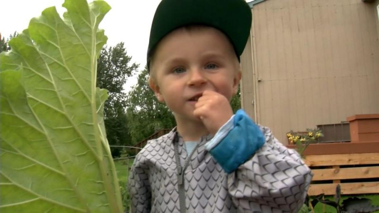 4-year-old's adorable passion for veggies and nutrition goes viral