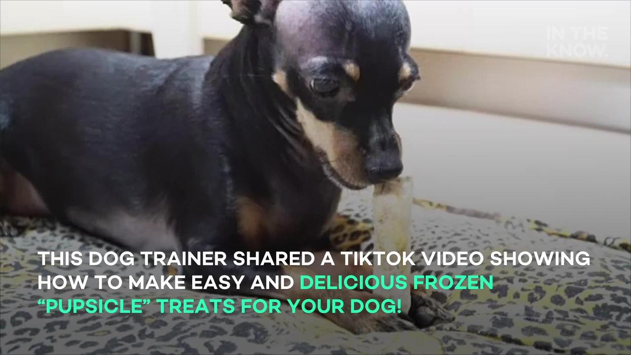 Dog trainer demonstrates how to make healthy 'pupsicle' dog treats: 'Such a great doggie d