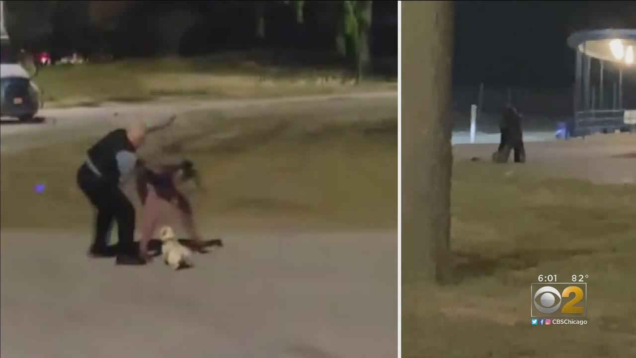 COPA Investigating After Chicago Police Officer Is Seen Struggling With Woman Walking Her Dog