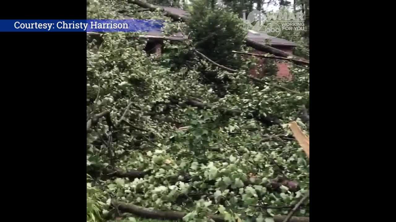 Trees come down in the Annapolis/Edgewater area