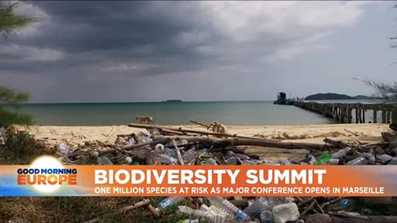 Global biodiversity conference kicks off in Marseille