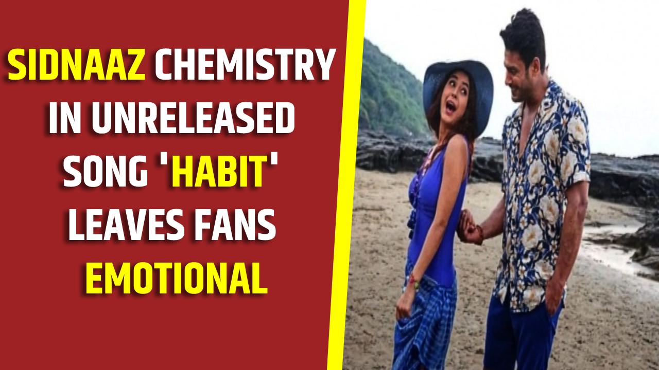 SidNaaz chemistry in unreleased song 'Habit' leaves fans emotional