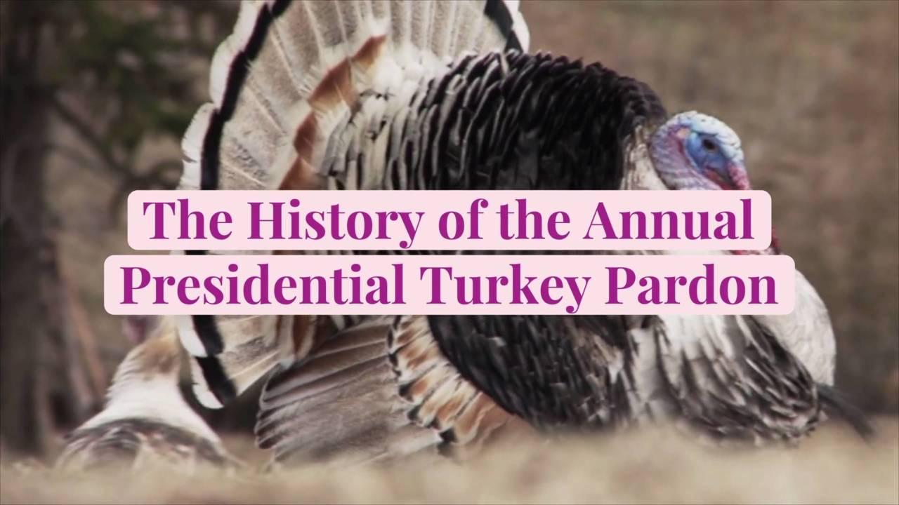 The History of the Annual Presidential Turkey Pardon
