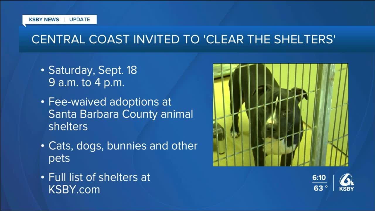 Central Coast residents invited to “Clear the Shelters”