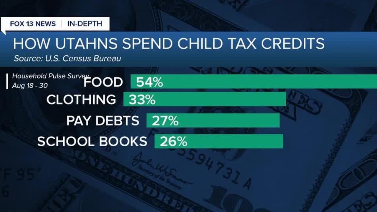 How Utahns are using child tax credits