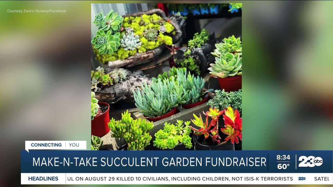 Local Nursery hosting Make-N-Take Succulent Garden fundraiser