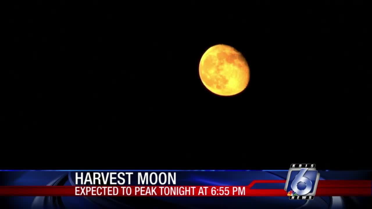 Harvest moon will be bright and shining tonight