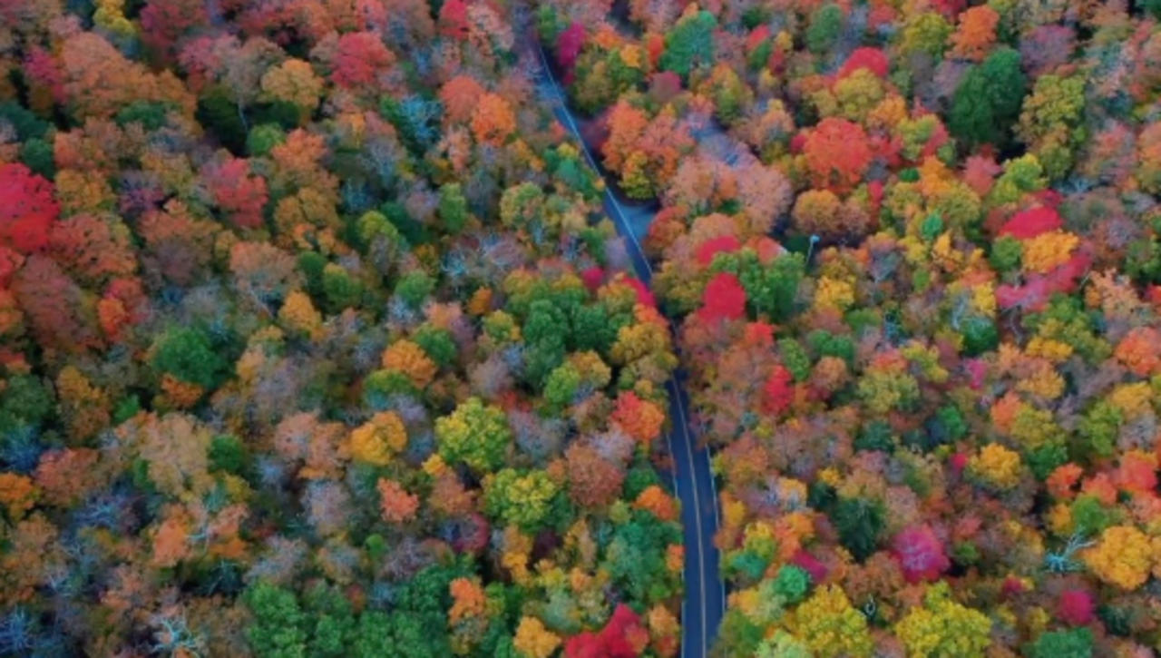 Some of the Best Spots in the US to See Fall Colors