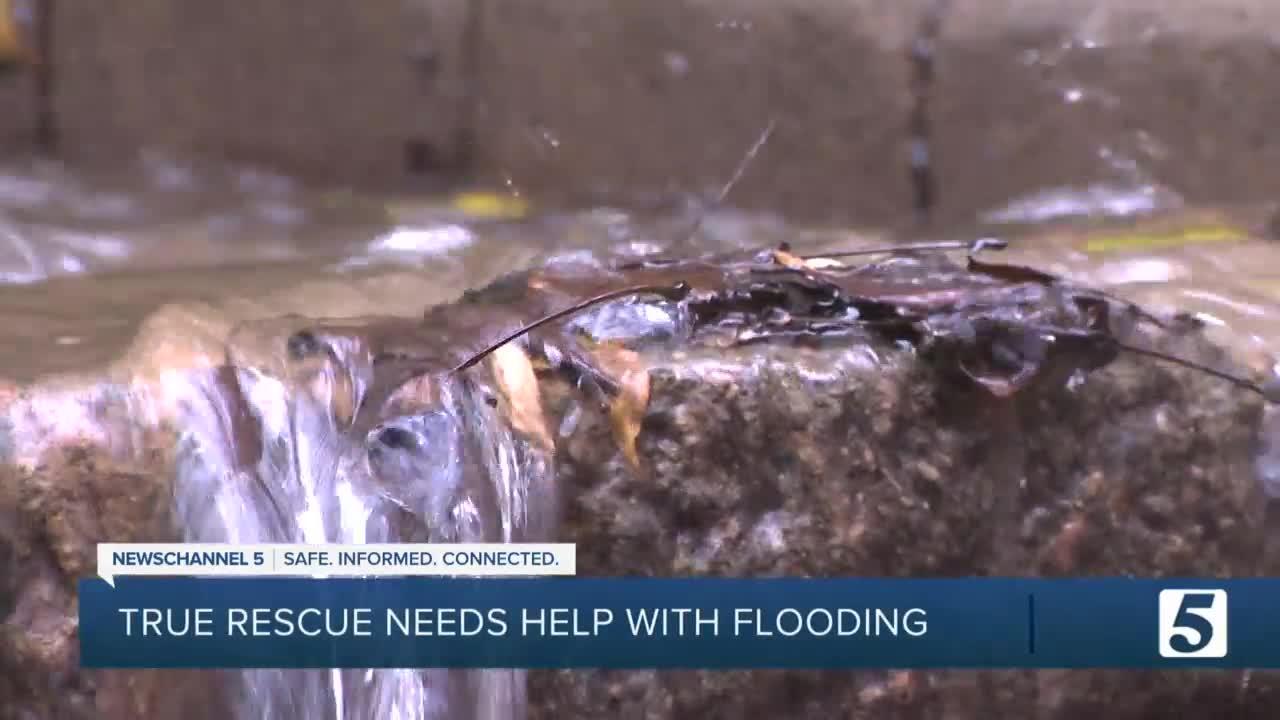 True Rescue animal shelter dealing with flooding in need of help