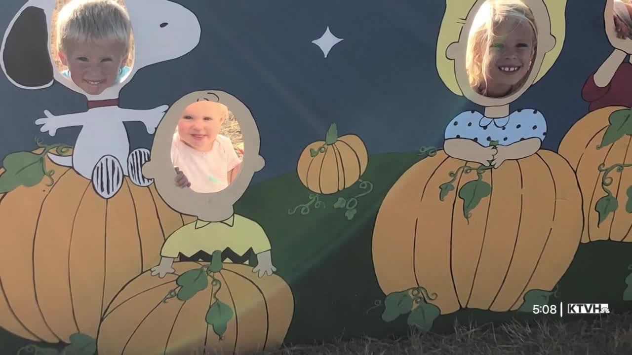 Townsend farm offers family fun with pumpkin patch and corn mazes