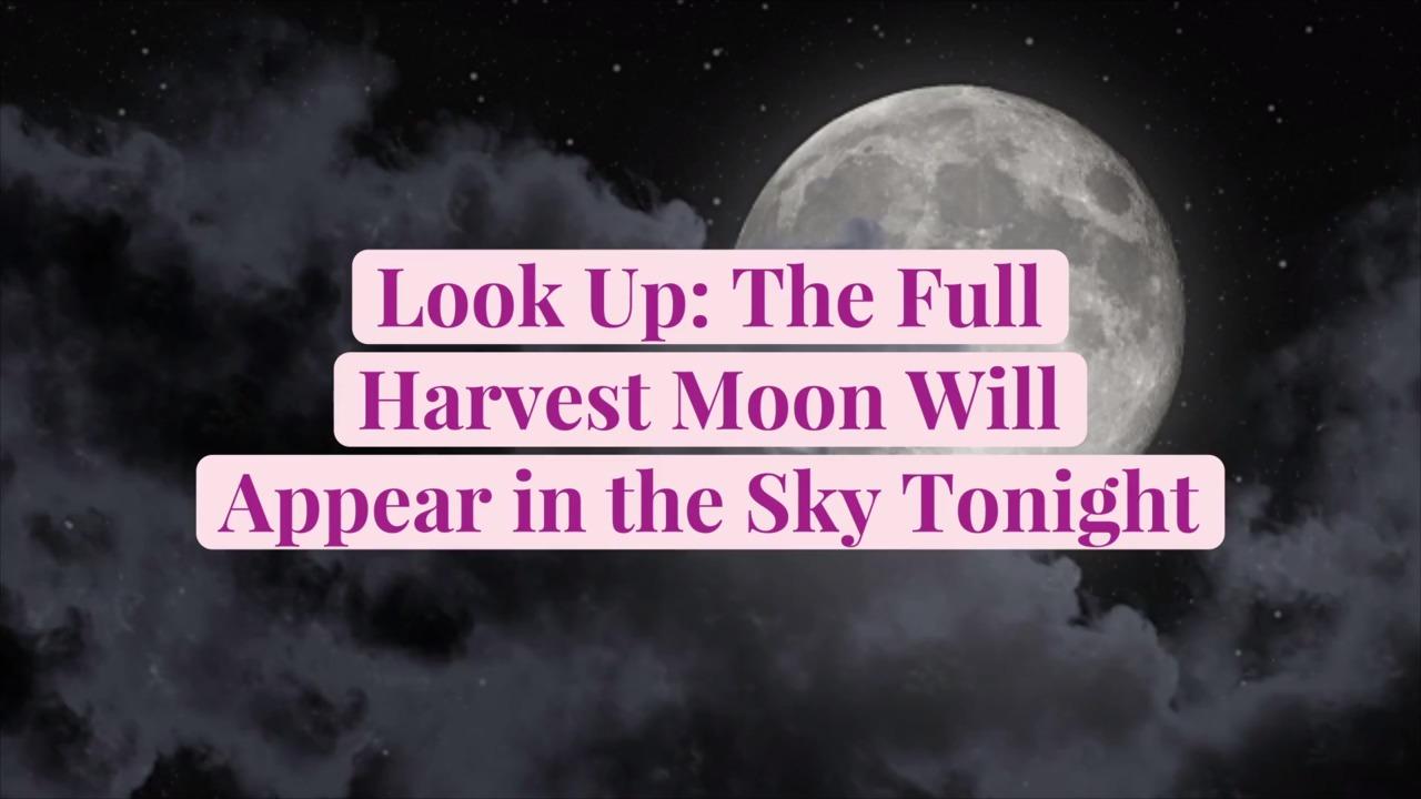 Look Up: The Full Harvest Moon Will Appear in the Sky Tonight