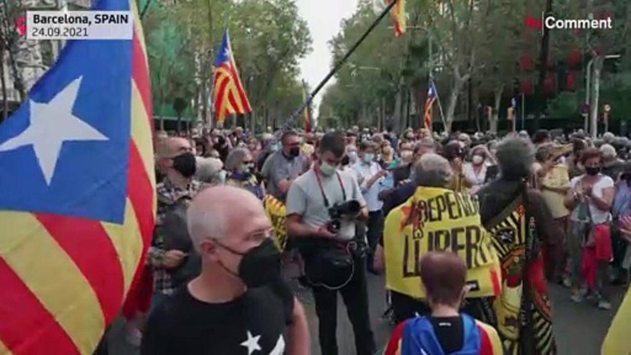 Puigdemont supporters protest his detention