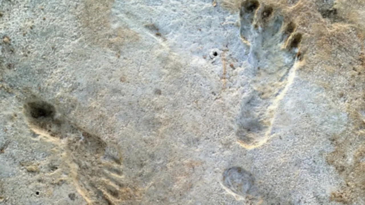 Earliest Human Footprints In North America Found in New Mexico