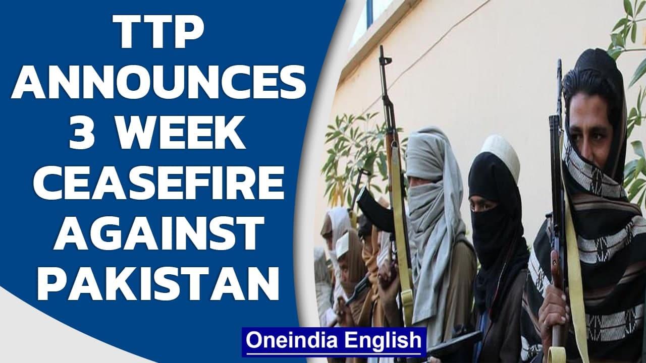 Tehreek-e-Pakistan announces 3 week ceasefire, talks with Imran Khan underway | Oneindia News
