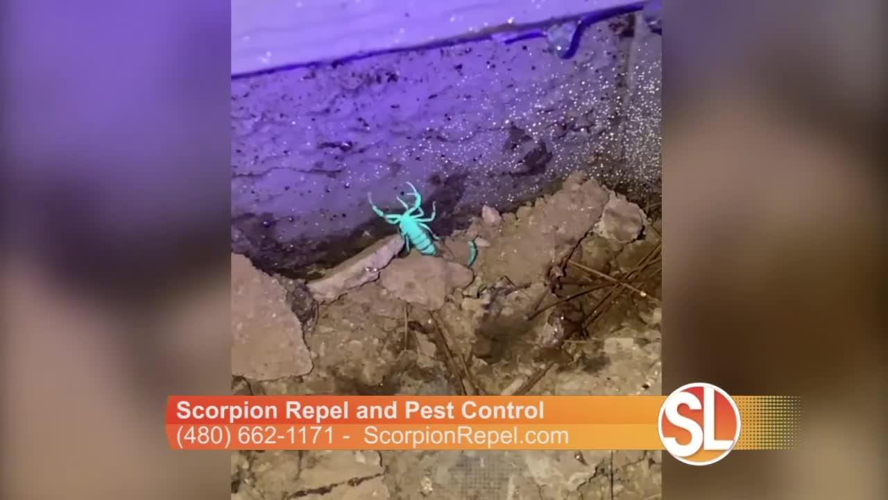 Scorpion Repel and Pest Control can help keep scorpions from entering your home