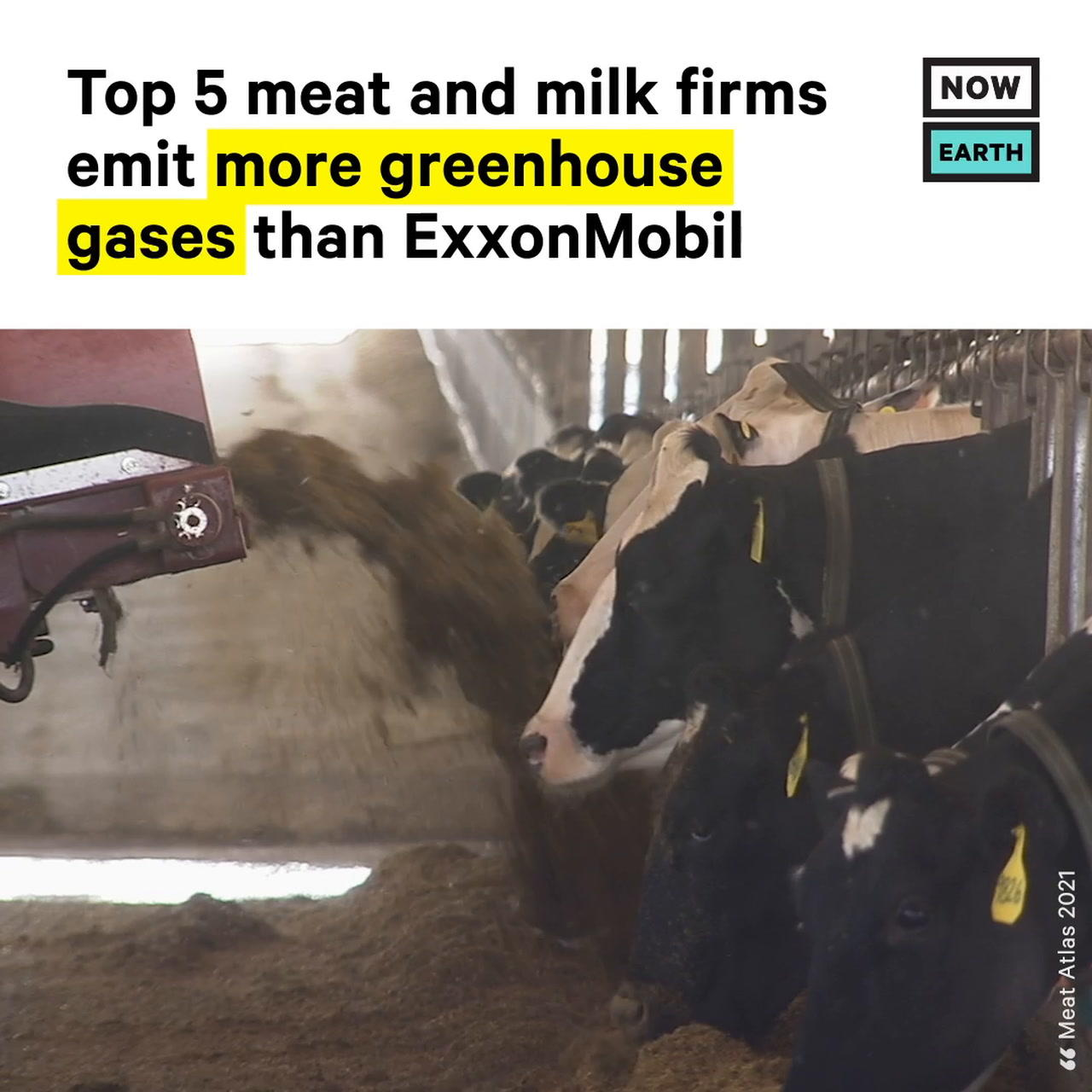 Top 5 Meat & Milk Companies Produce More Emissions Than ExxonMobil