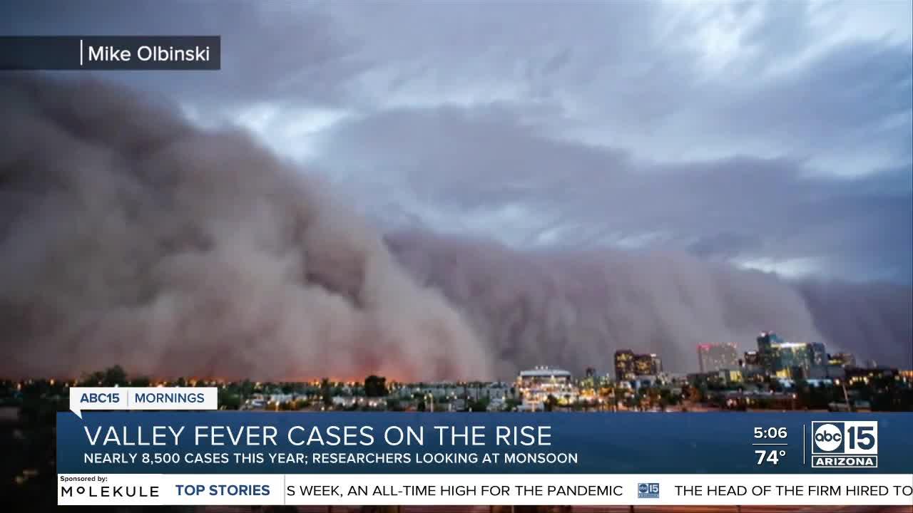 Valley fever cases on the rise in Arizona