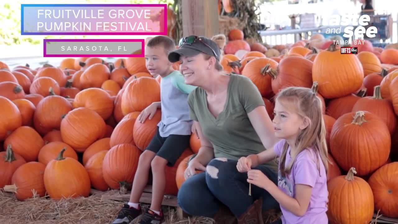Fruitville Grove Pumpkin Festival in Sarasota | Taste and See Tampa Bay