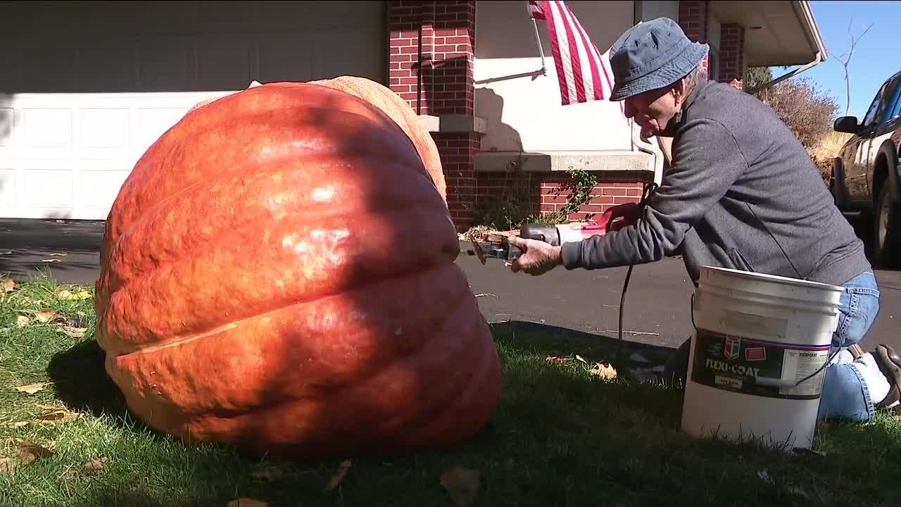 Morrison man makes giant jack-o-lanterns from pumpkins he grows