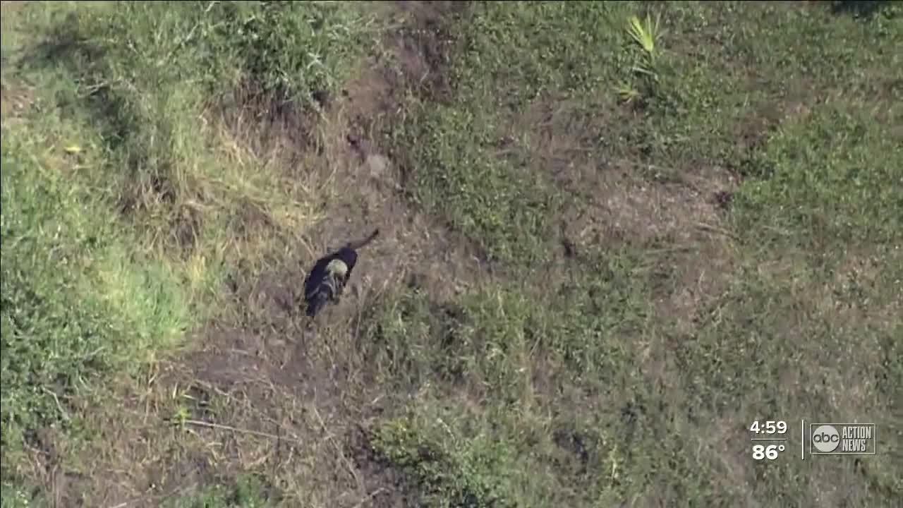 FBI says possible human remains have been found during course of Laundrie search