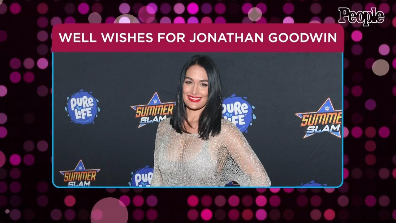 AGT: Extreme's Nikki Bella, Terry Crews Send Injured Contestant Jonathan Goodwin Well Wishes