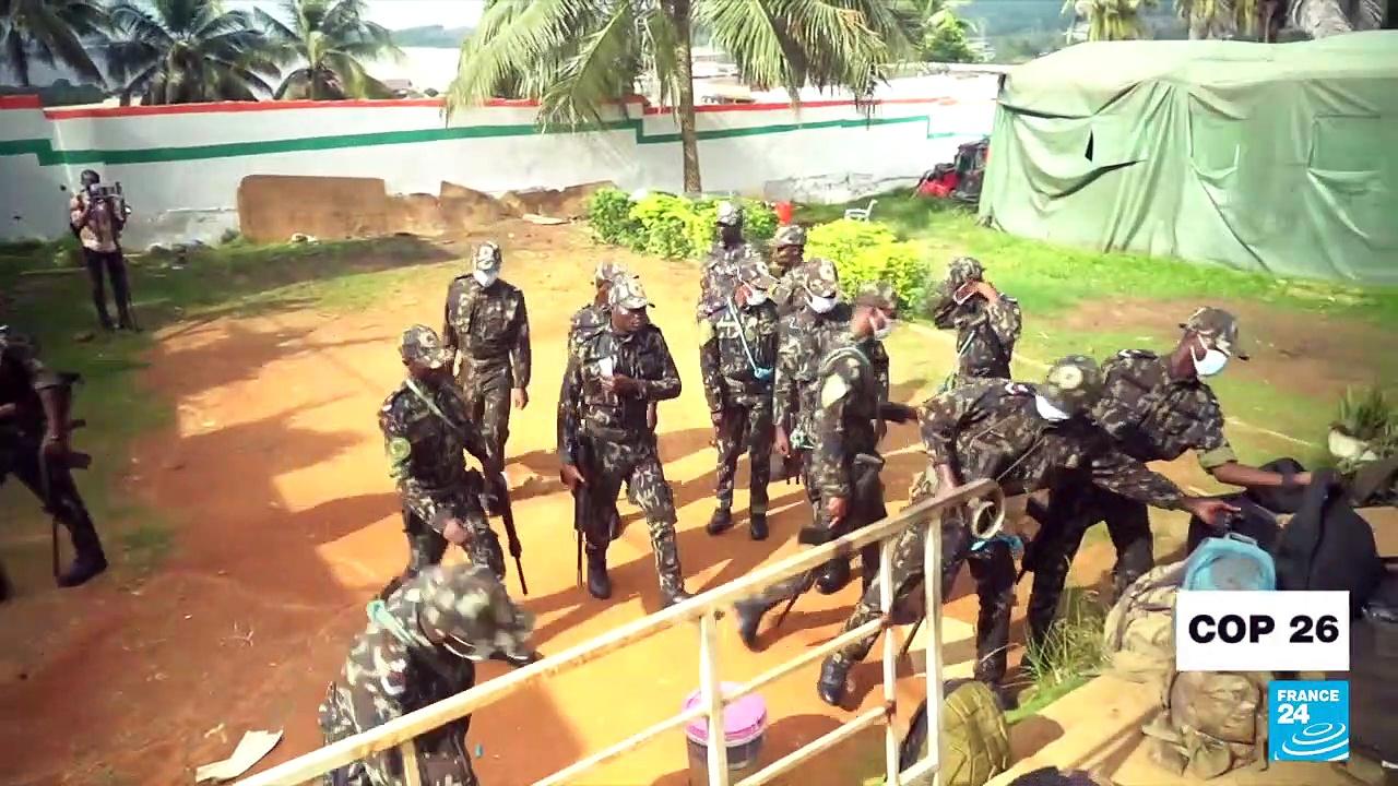 Ivory Coast's 'green army': 650 soldiers combat deforestation