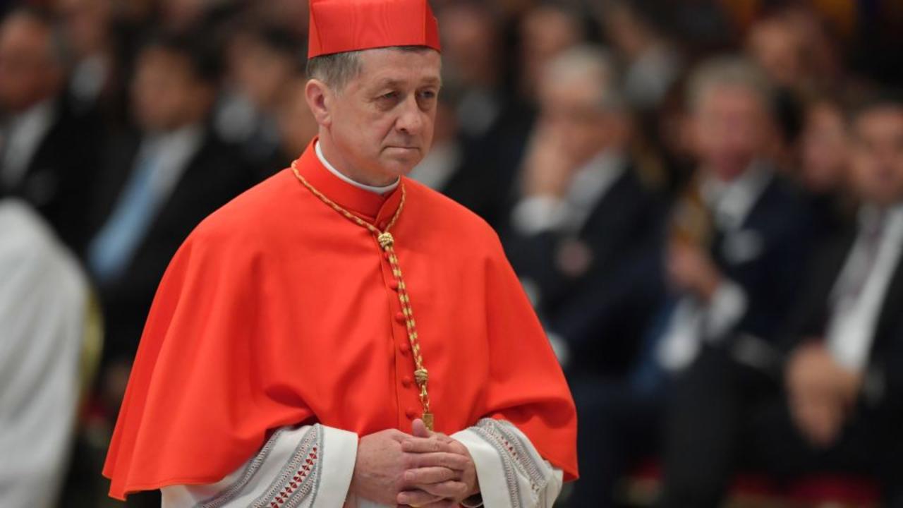 U.S. Cardinal: 'We have to be pastors, not politicians'